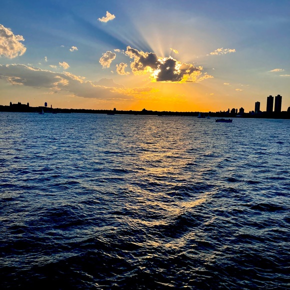 Meet your Posher, Trixie - Picture 1 of 1